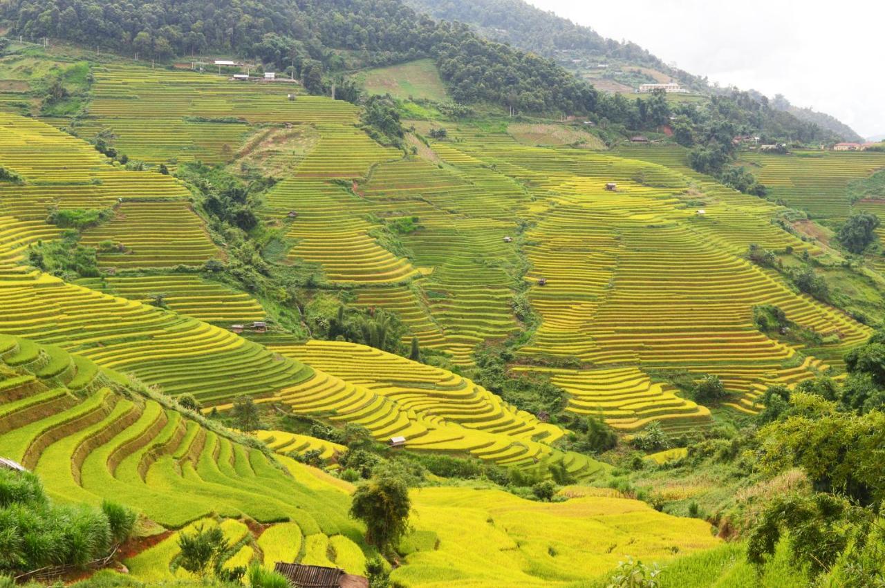 Mu Cang Chai Homestay & Trekking Zewnętrze zdjęcie