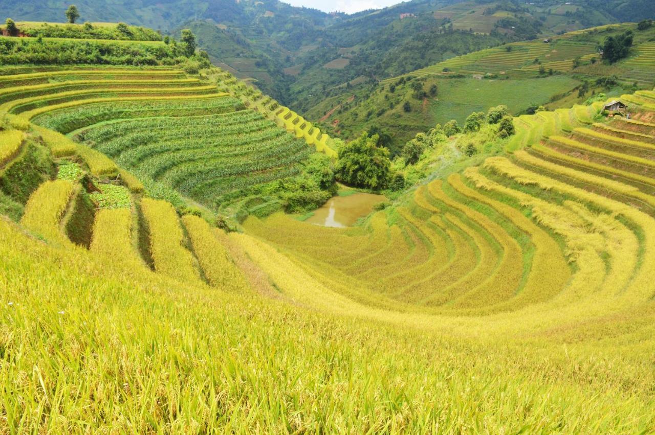 Mu Cang Chai Homestay & Trekking Zewnętrze zdjęcie