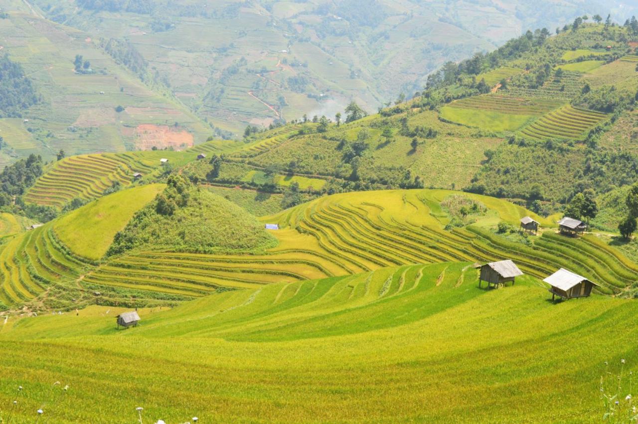 Mu Cang Chai Homestay & Trekking Zewnętrze zdjęcie