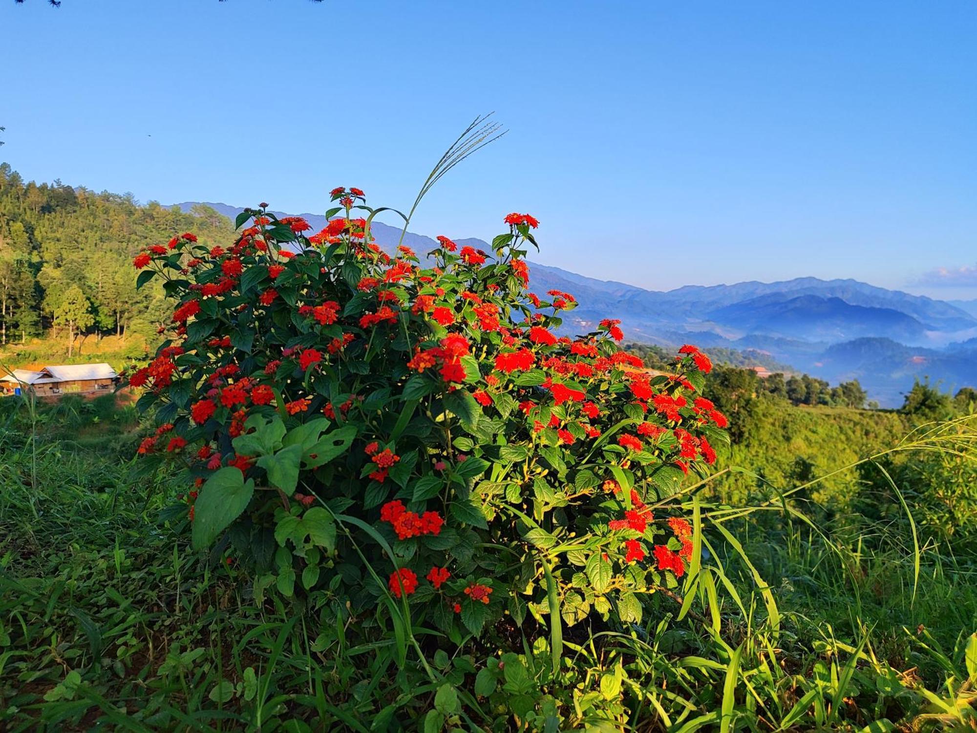 Mu Cang Chai Homestay & Trekking Zewnętrze zdjęcie