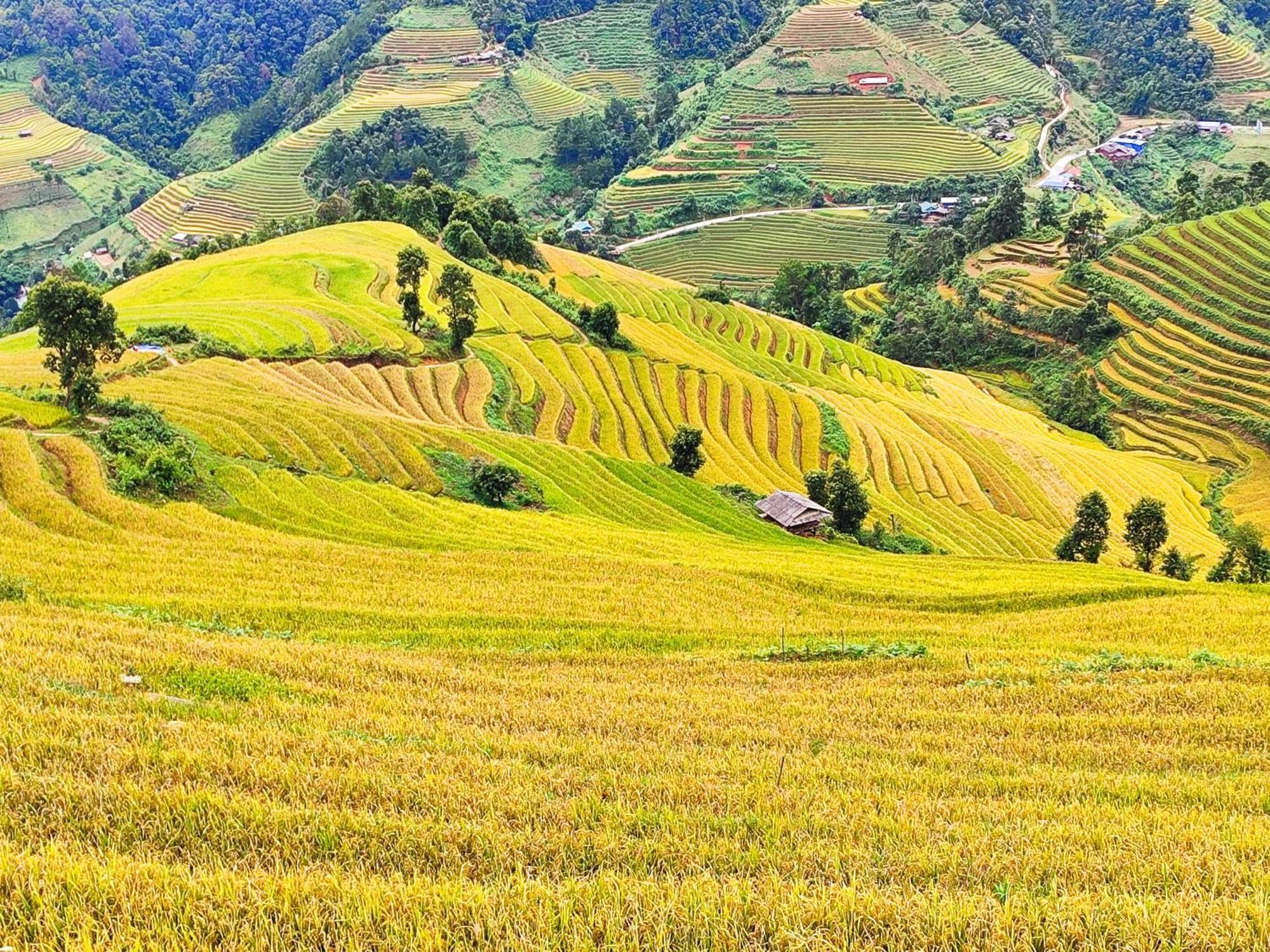 Mu Cang Chai Homestay & Trekking Zewnętrze zdjęcie