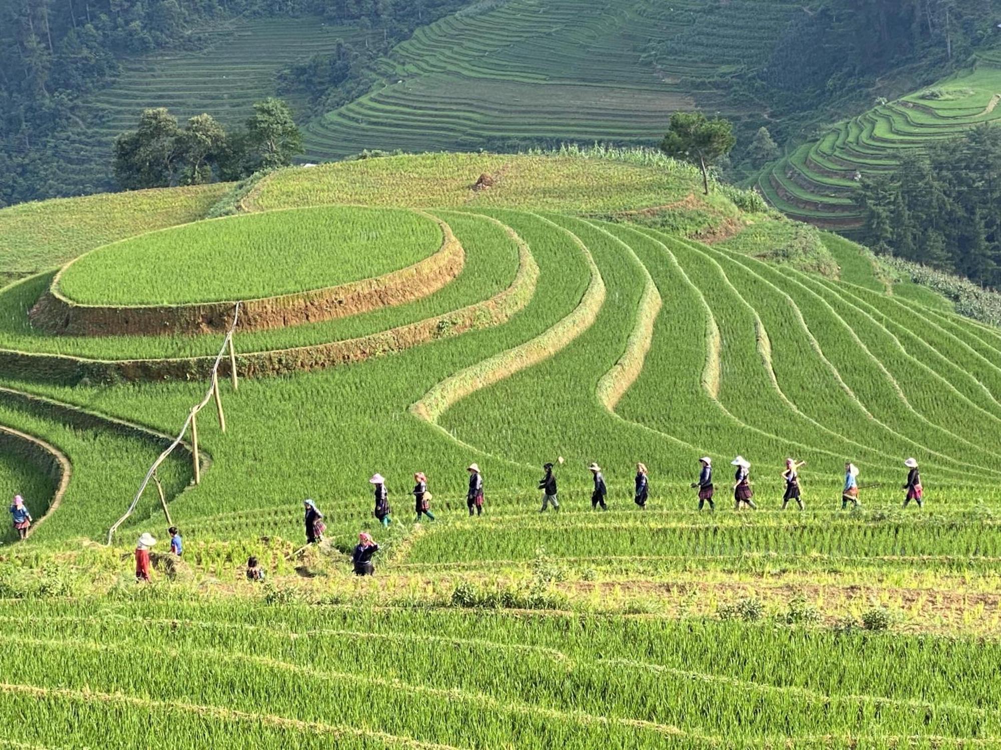 Mu Cang Chai Homestay & Trekking Zewnętrze zdjęcie