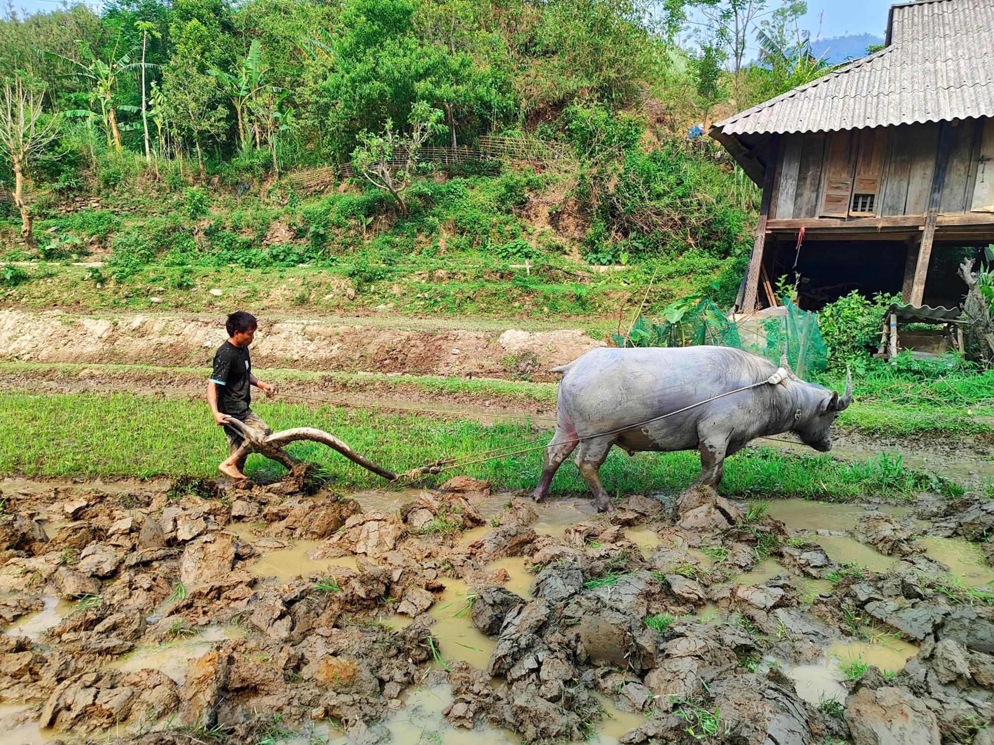 Mu Cang Chai Homestay & Trekking Zewnętrze zdjęcie