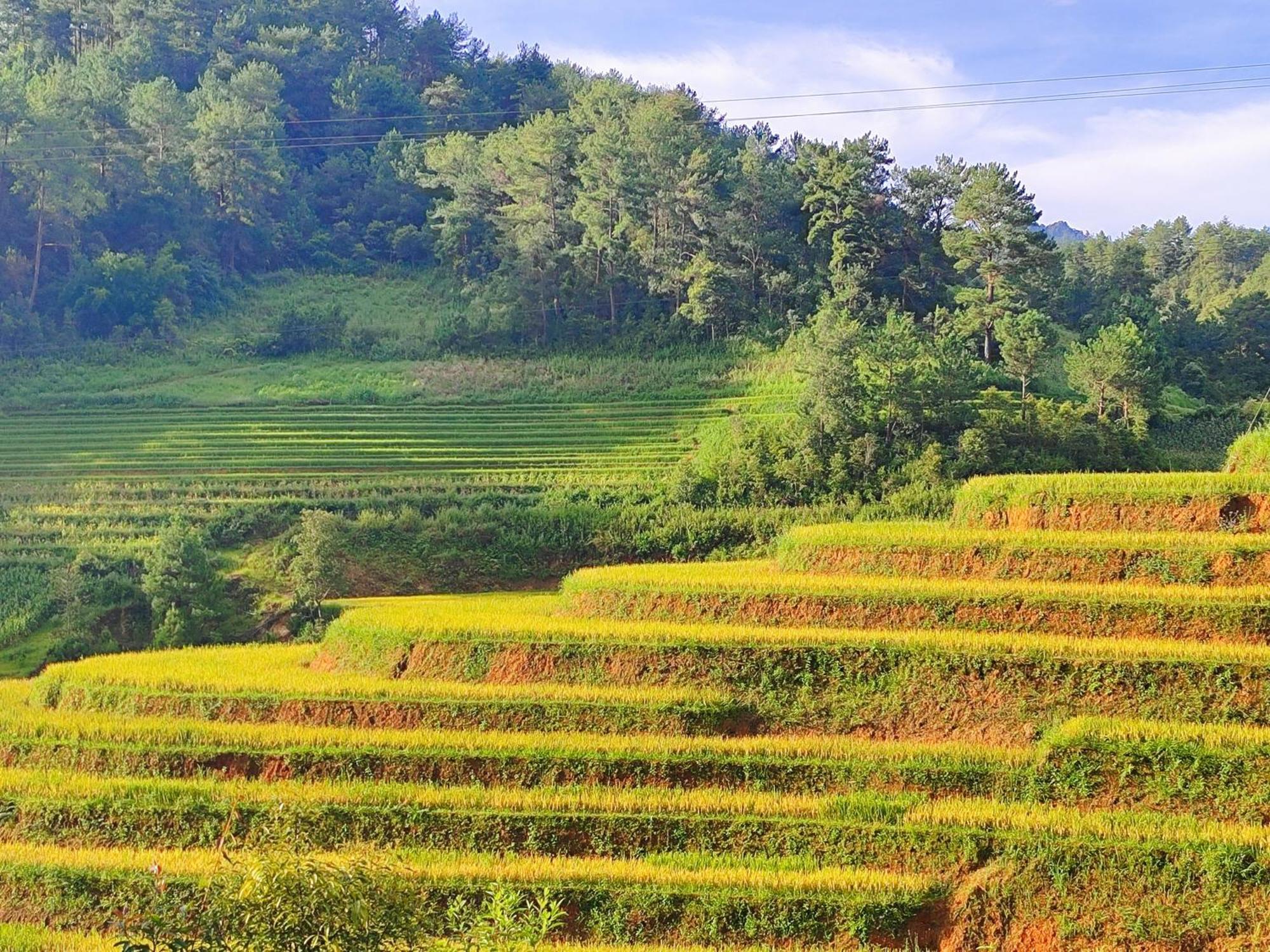 Mu Cang Chai Homestay & Trekking Zewnętrze zdjęcie