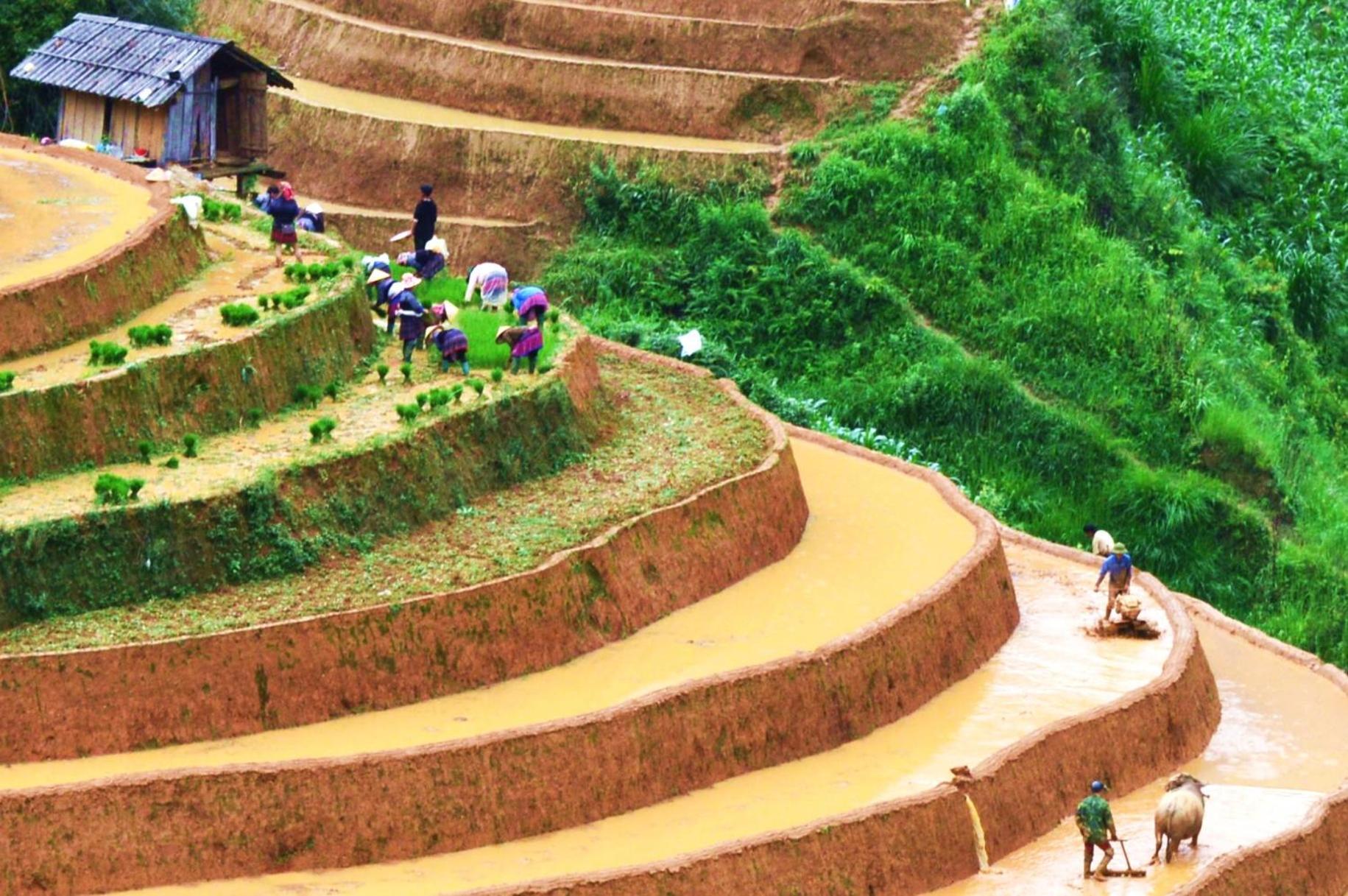 Mu Cang Chai Homestay & Trekking Zewnętrze zdjęcie