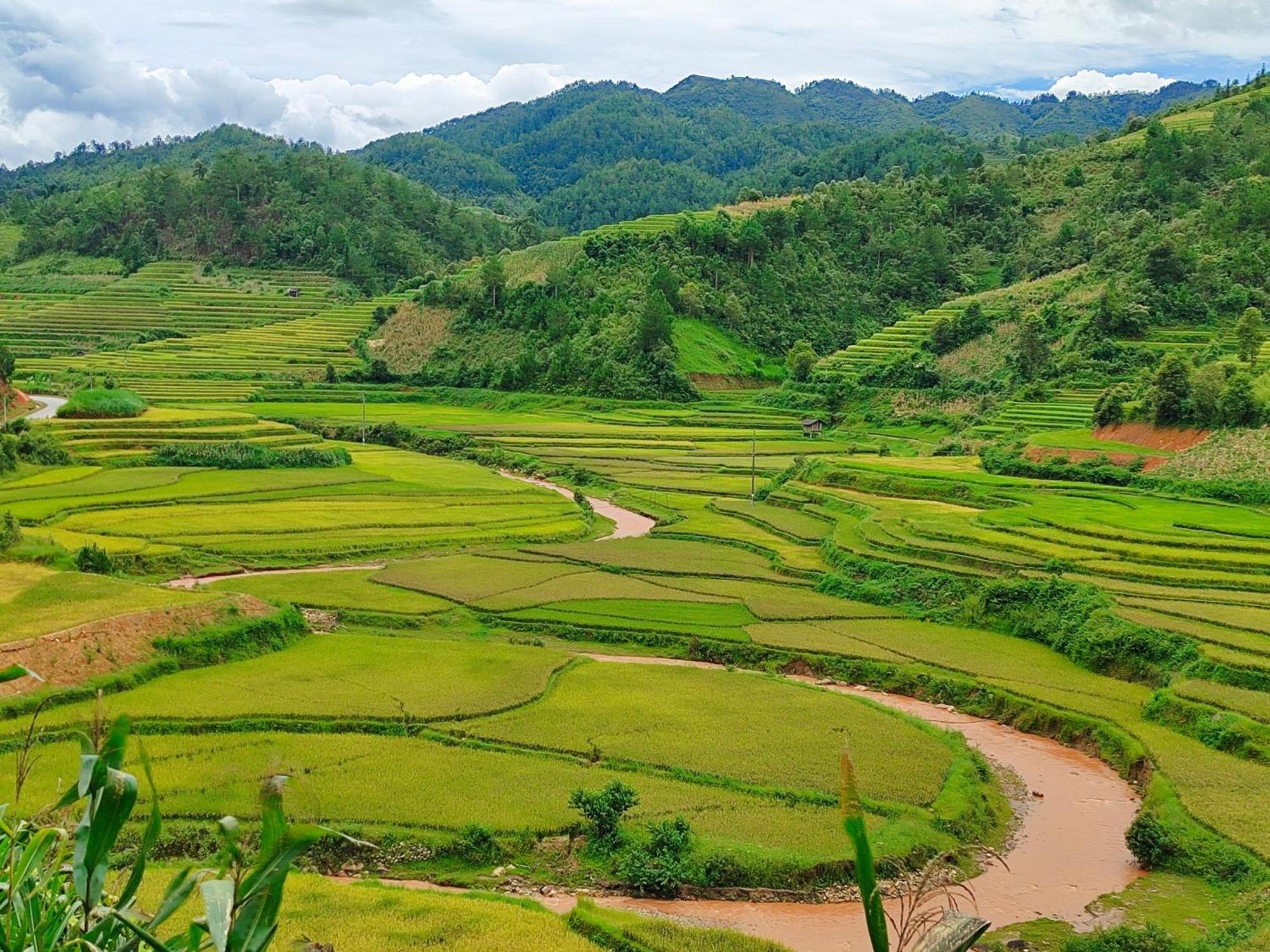 Mu Cang Chai Homestay & Trekking Zewnętrze zdjęcie