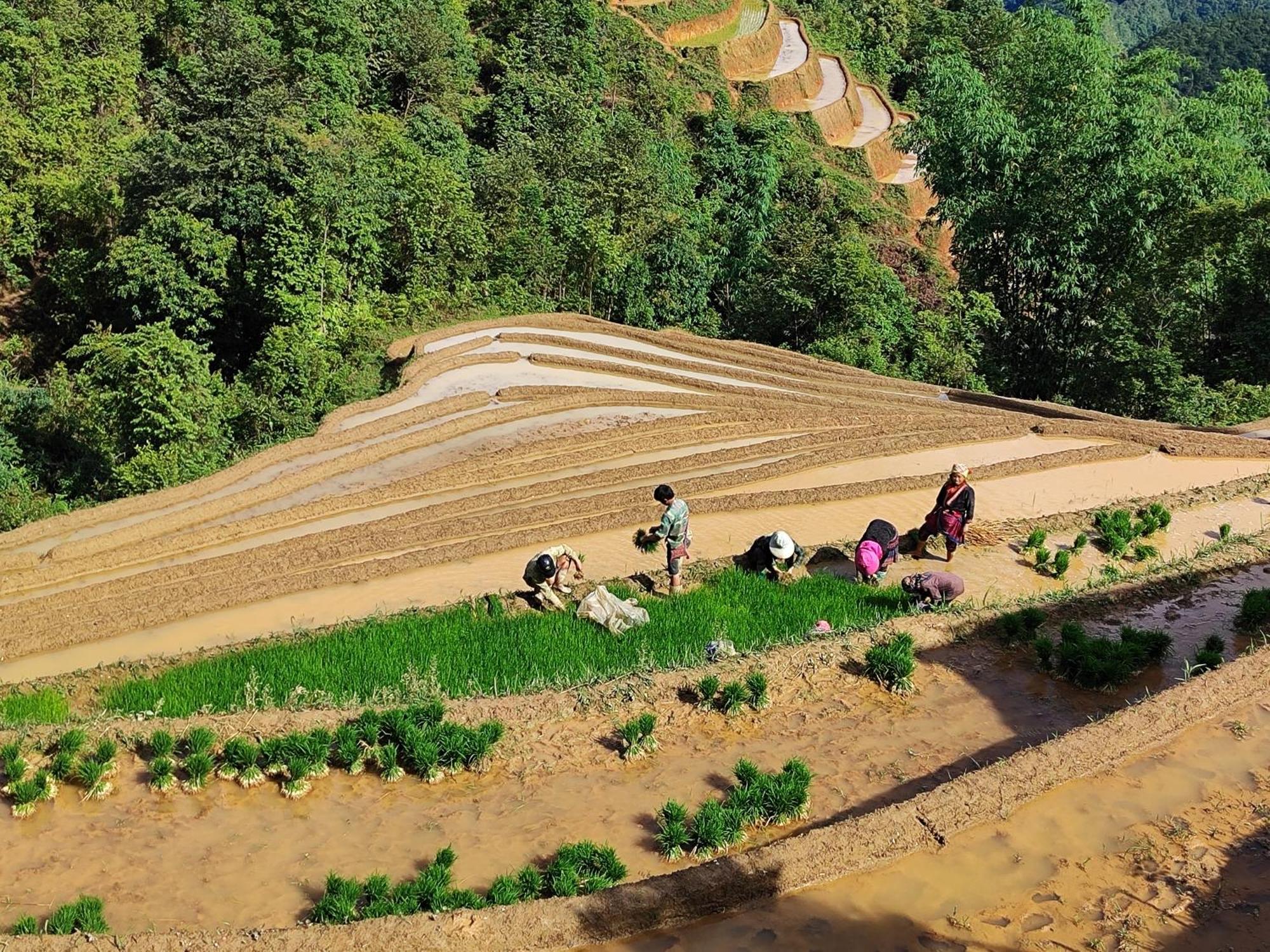 Mu Cang Chai Homestay & Trekking Zewnętrze zdjęcie